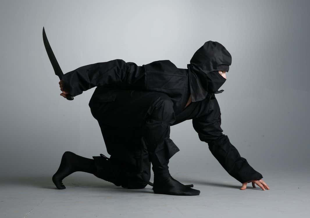 25-sneaky-facts-about-ninjas