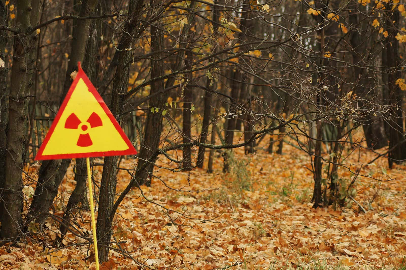 Facts About The Chernobyl Disaster