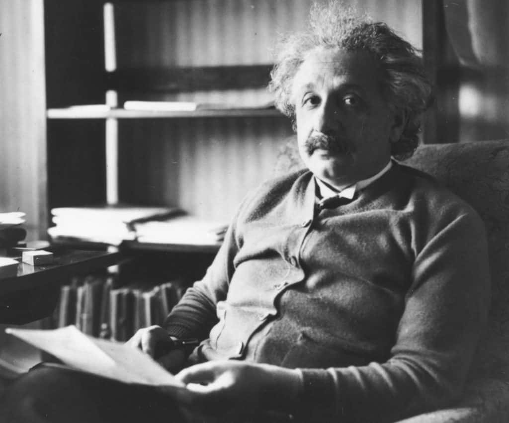 Strange But True Facts About Albert Einstein Factinate