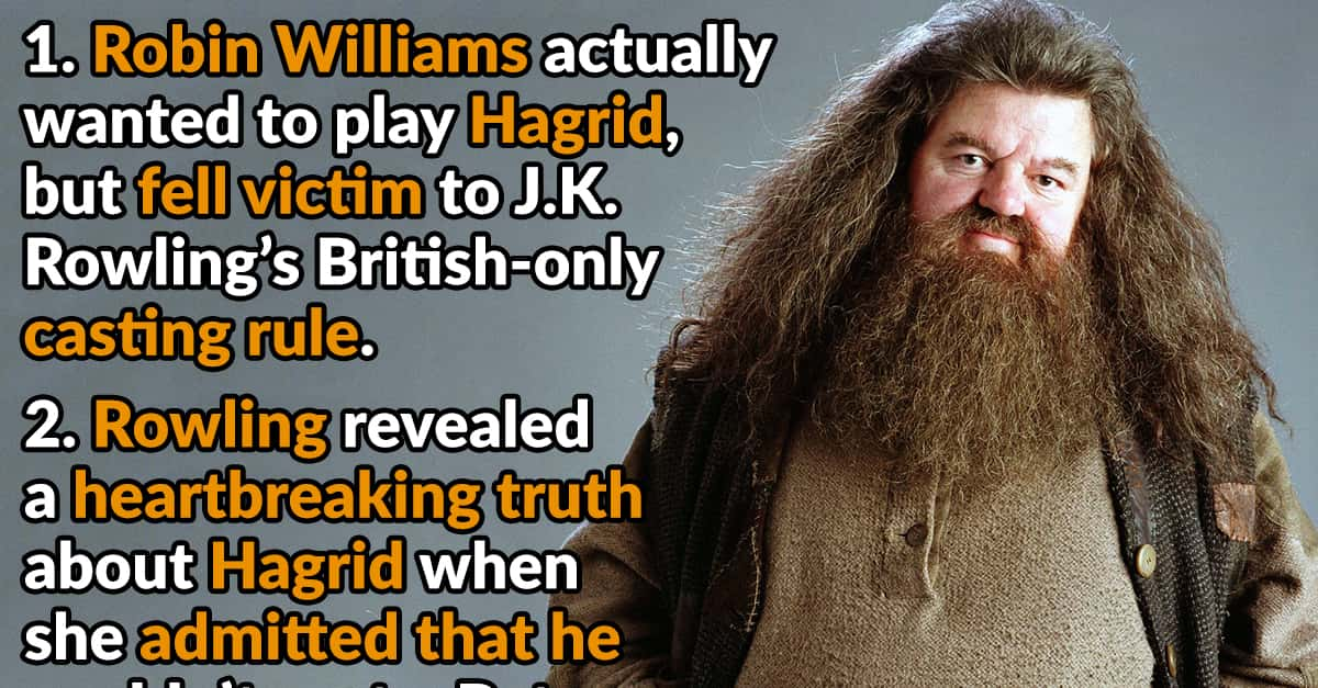 20 Larger Than Life Facts About Rubeus Hagrid - Factinate