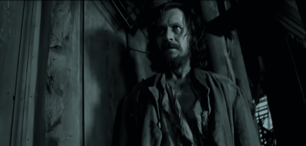 24 Magical Facts About Sirius Black - Factinate