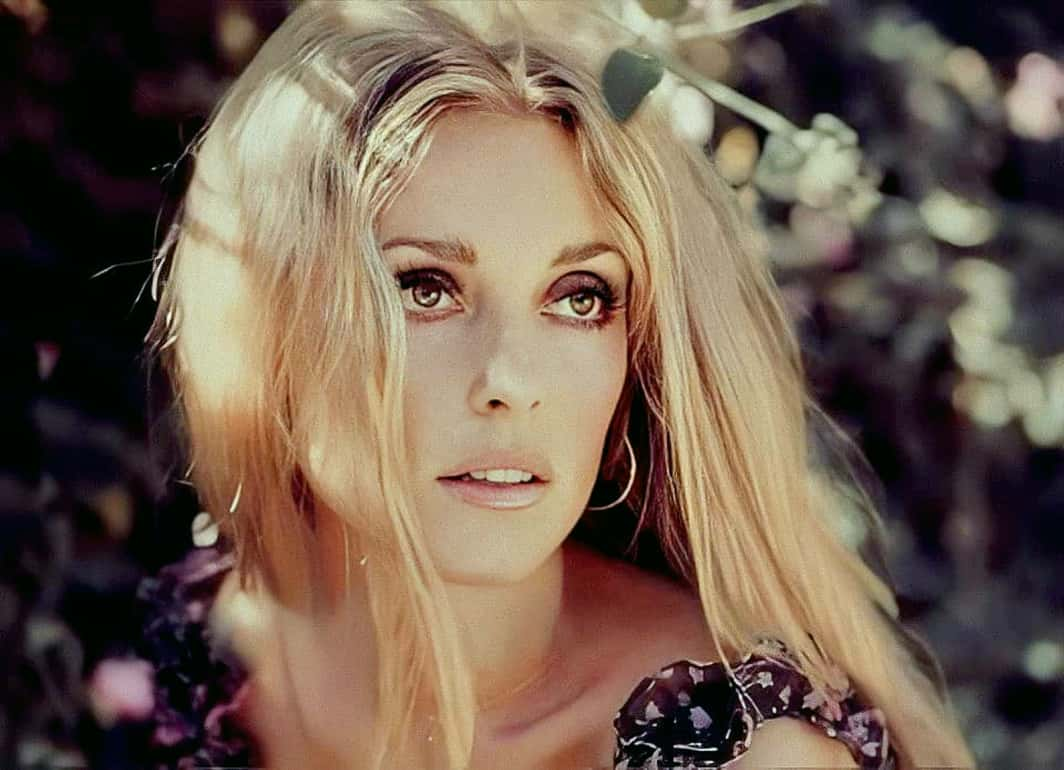 Sultry Facts About Sharon Tate, The Tragic Vixen - Factinate