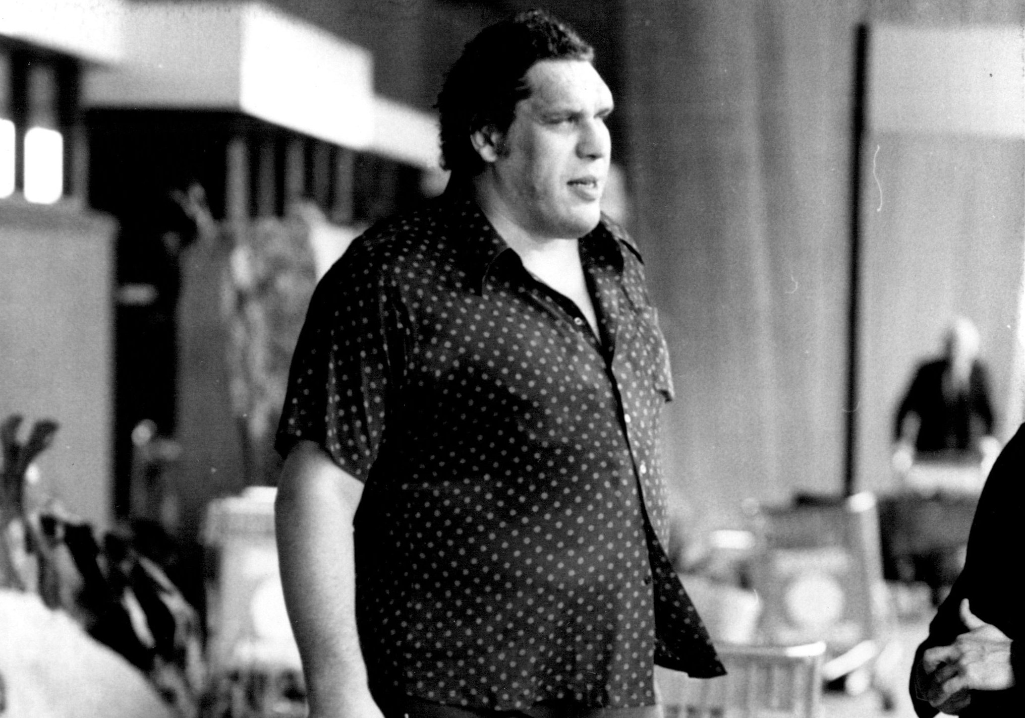 File:Andre the Giant.jpg - Wikipedia