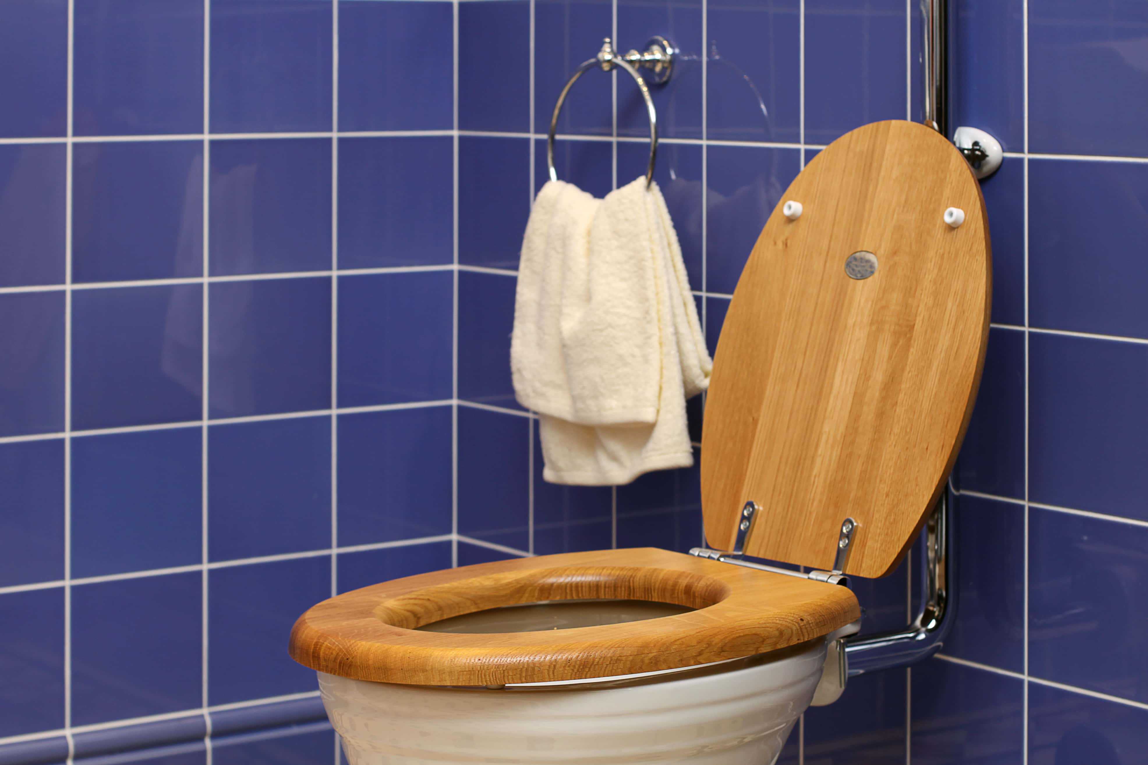 11 Historically Significant Toilets