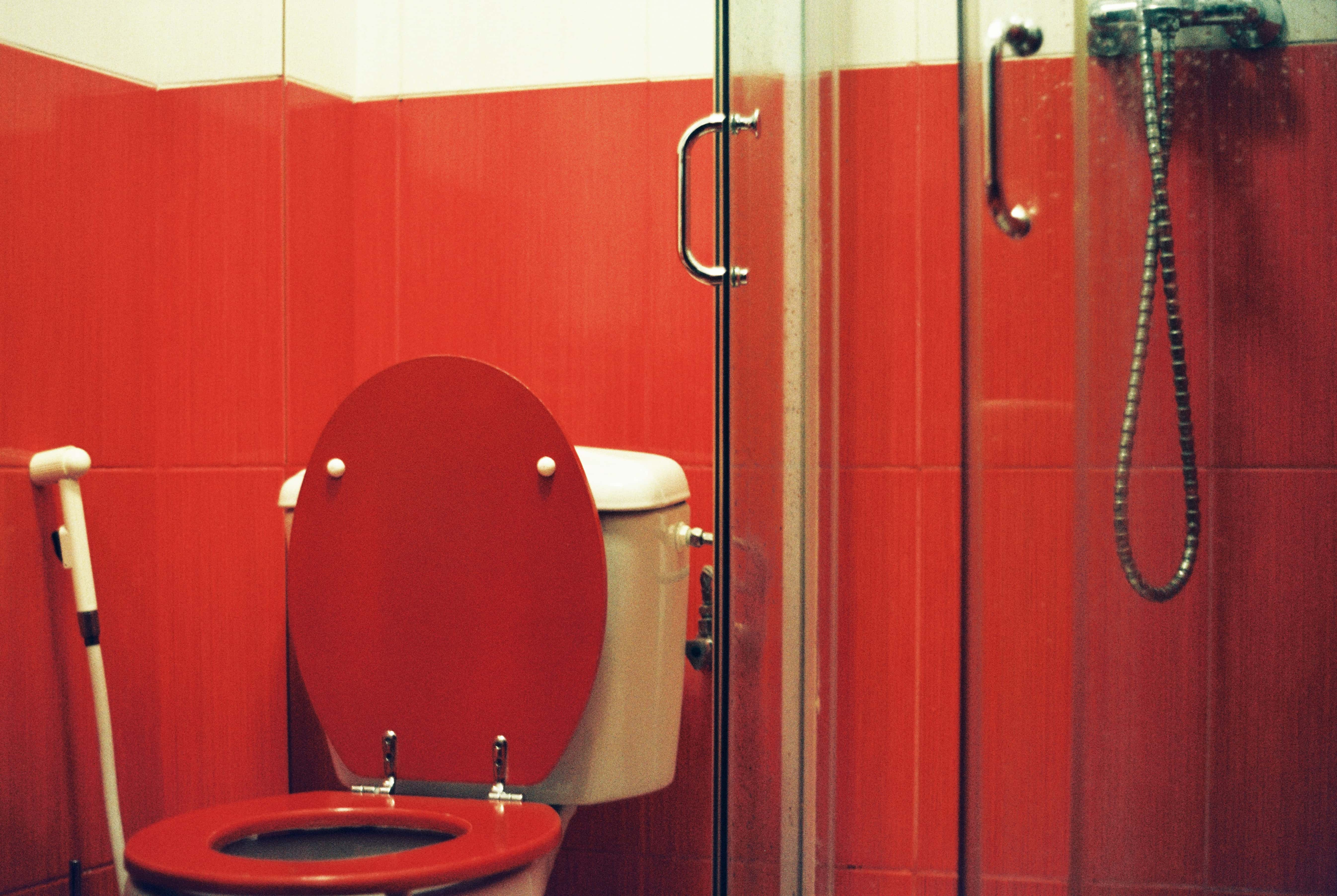 11 Historically Significant Toilets