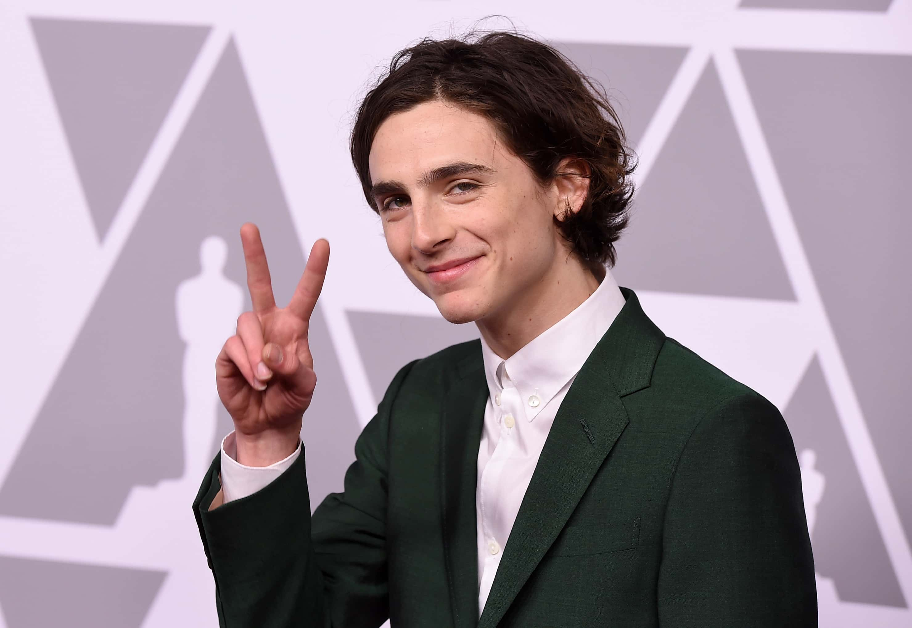 Timothée Chalamet, Neon BagsEverything To Know About The Louis