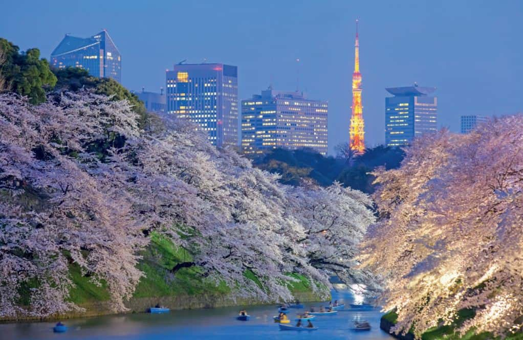 5 Interesting Facts About Tokyo