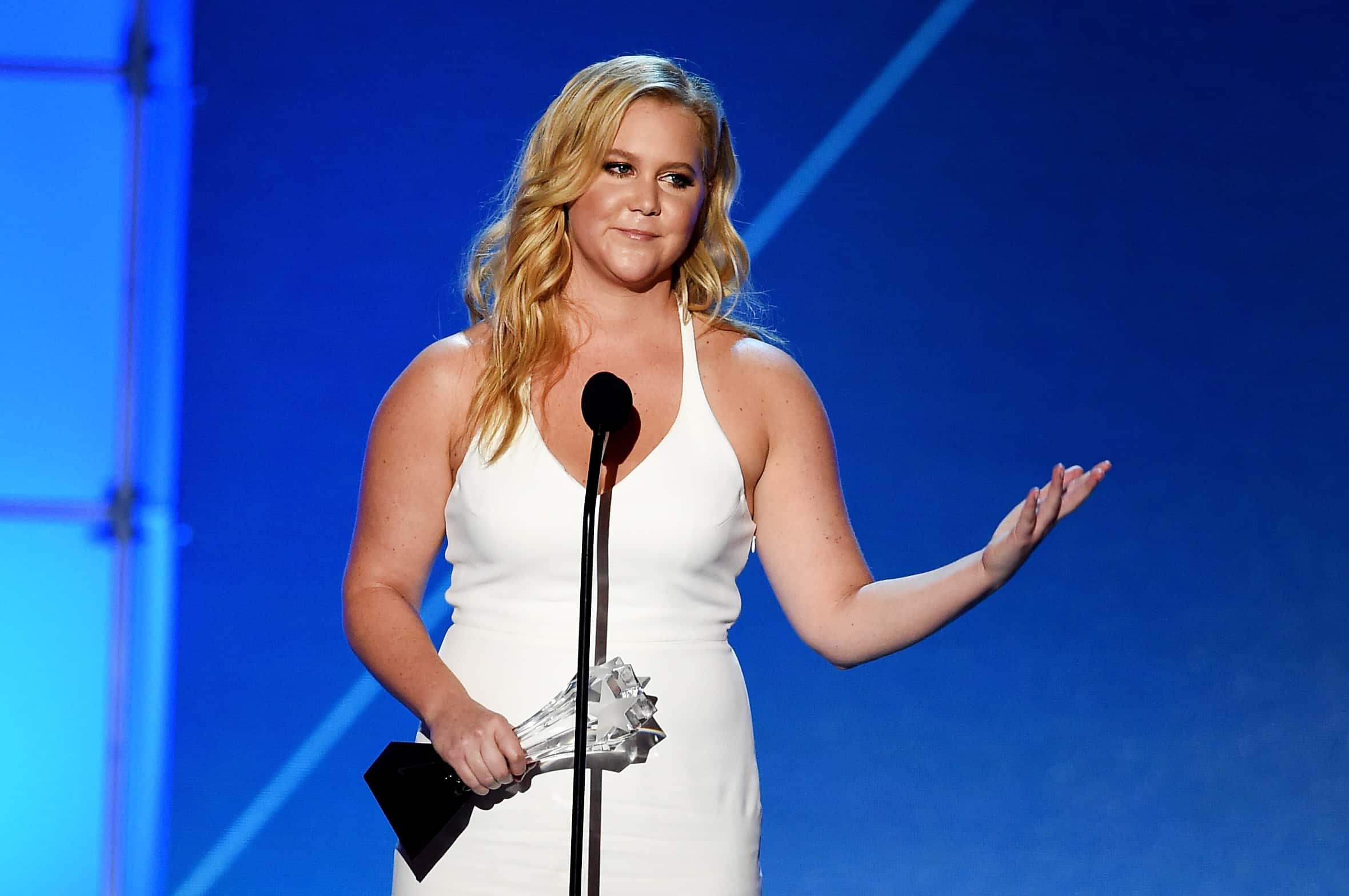 Raunchy Facts About Amy Schumer 