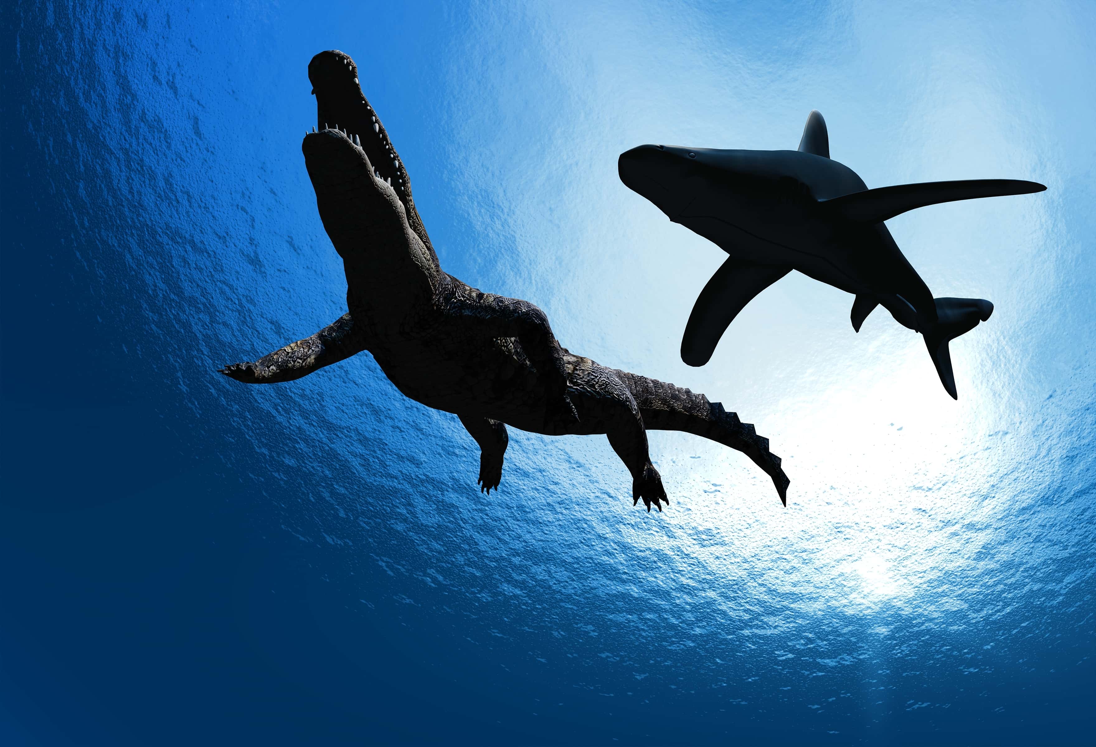 Кто опаснее акула аллигатор или кит