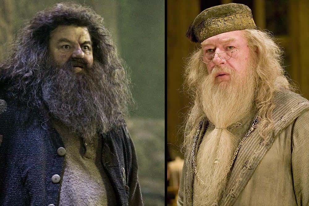 20 Larger Than Life Facts About Rubeus Hagrid 2904