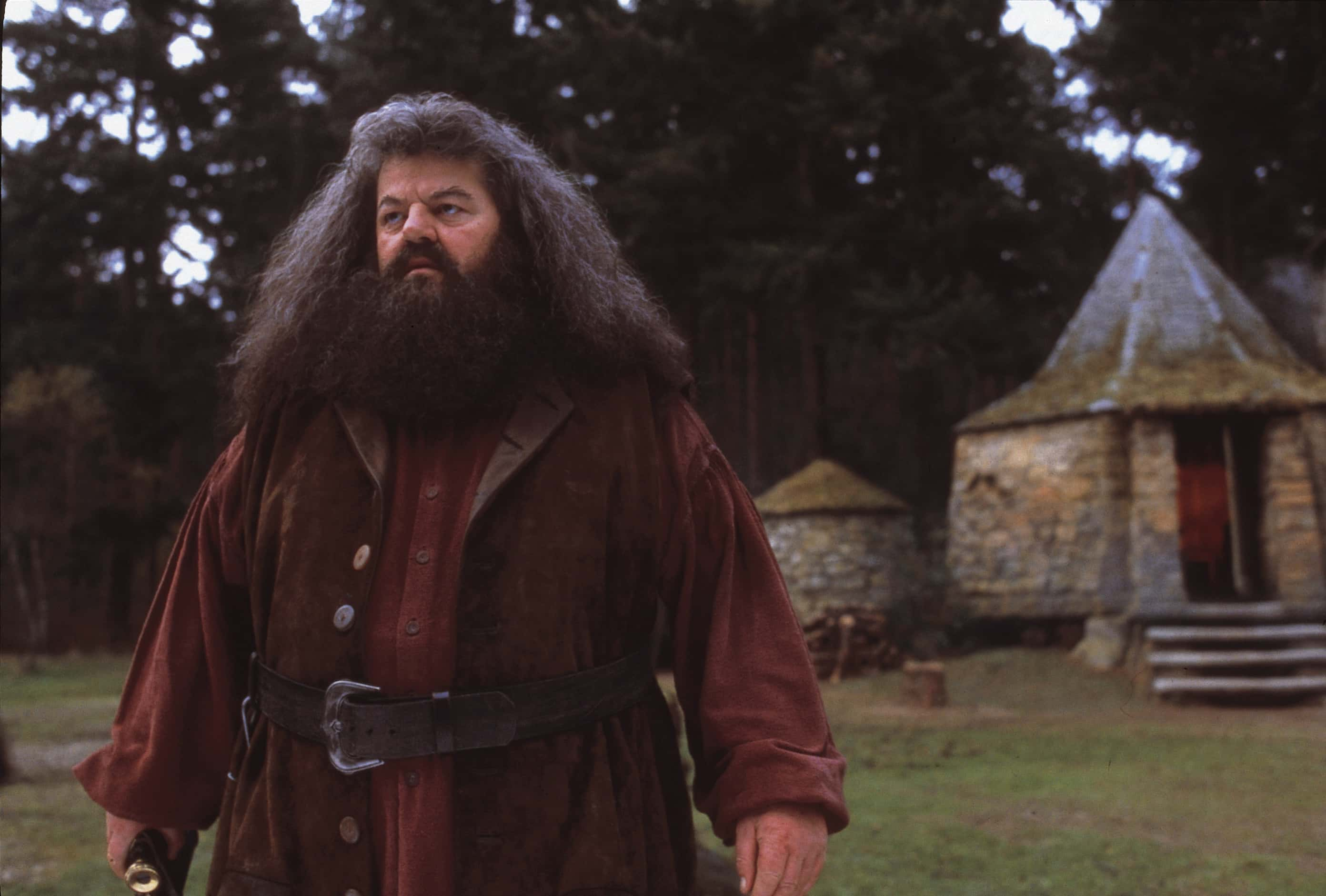 what house was hagrid in