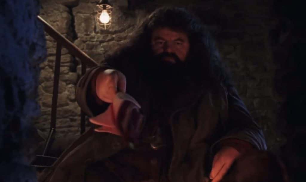 20 Larger Than Life Facts About Rubeus Hagrid 6150