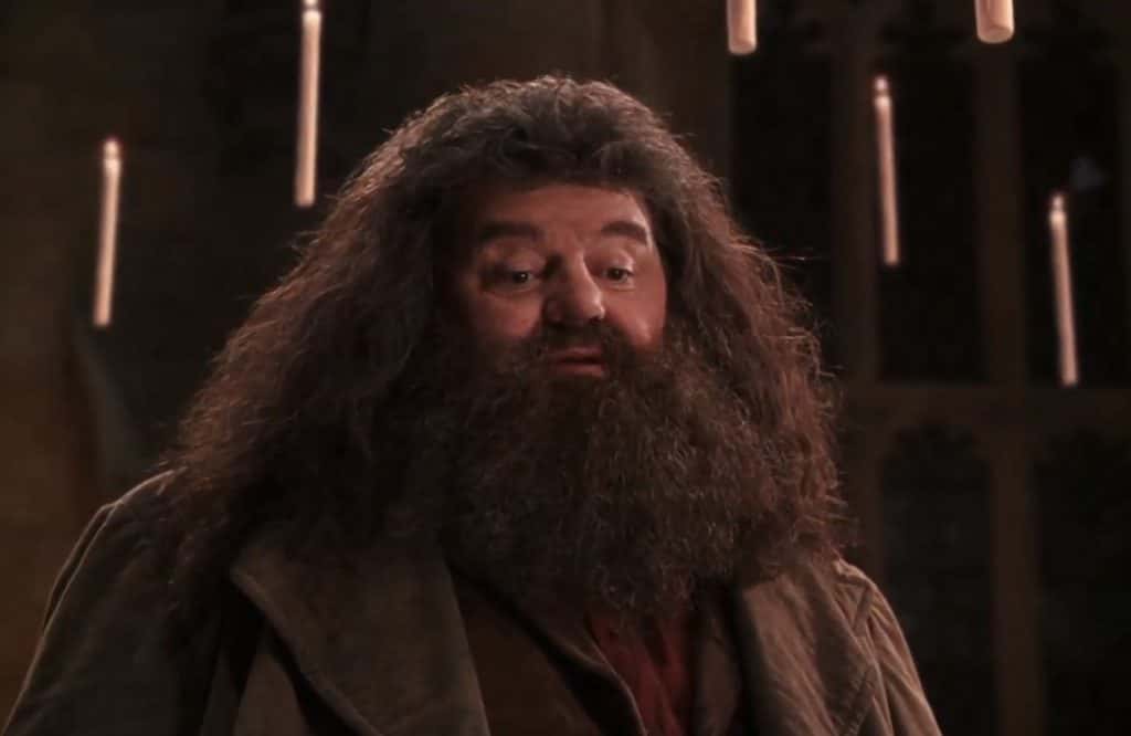 20 Larger Than Life Facts About Rubeus Hagrid 0430