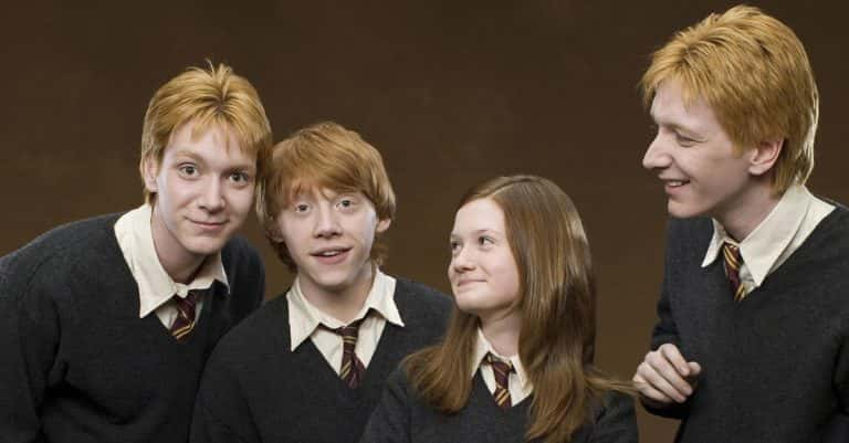 24 Mischievous Facts About Fred and George Weasley