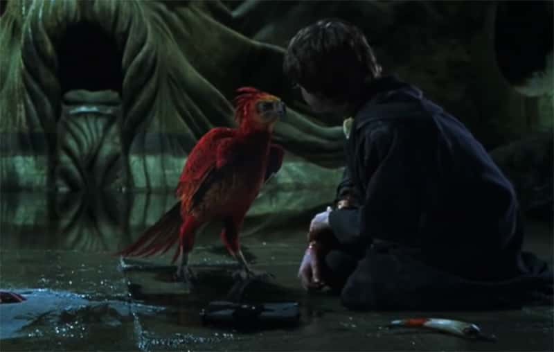 harry potter magical creatures