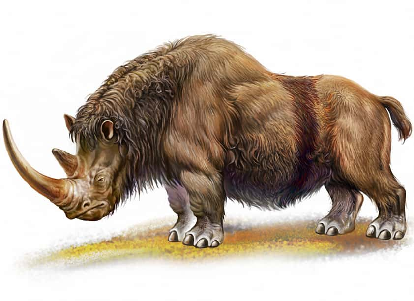 43 Earth-Shaking Facts About Prehistoric Beasts