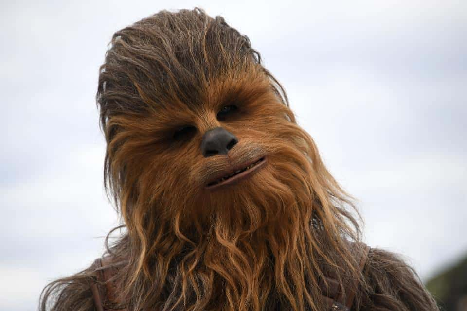 chewbacca pez