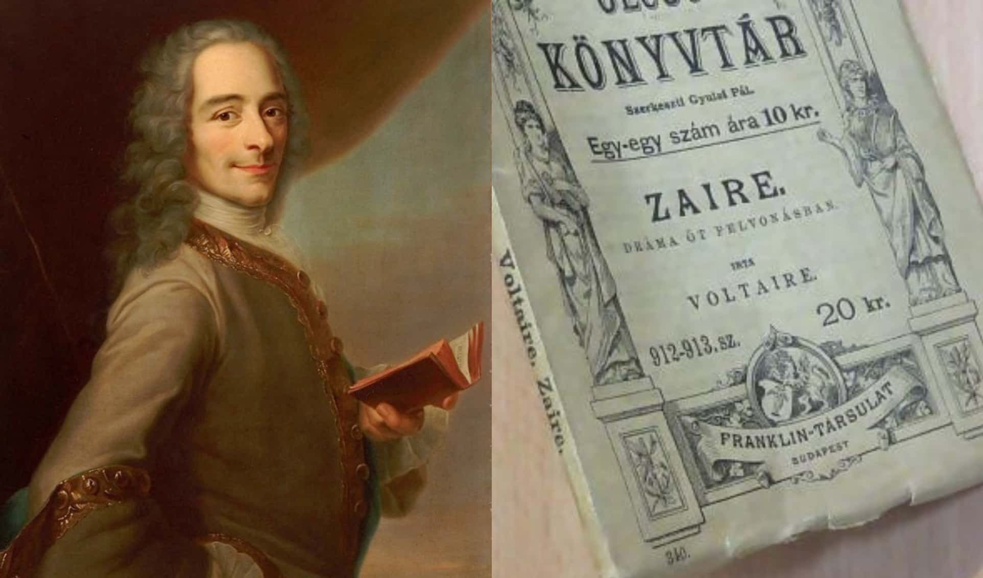 Вольтер. Эпоха Вольтера картины. Автор статуи Вольтера. Болеслав Вольтер.