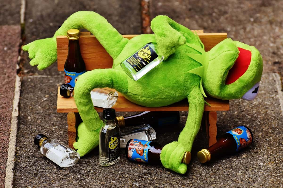 Satisfied People Share Their Most Memorable Comebacks   Kermit Frog Drink Alcohol Drunk Bank Rest Sit 497334 1 