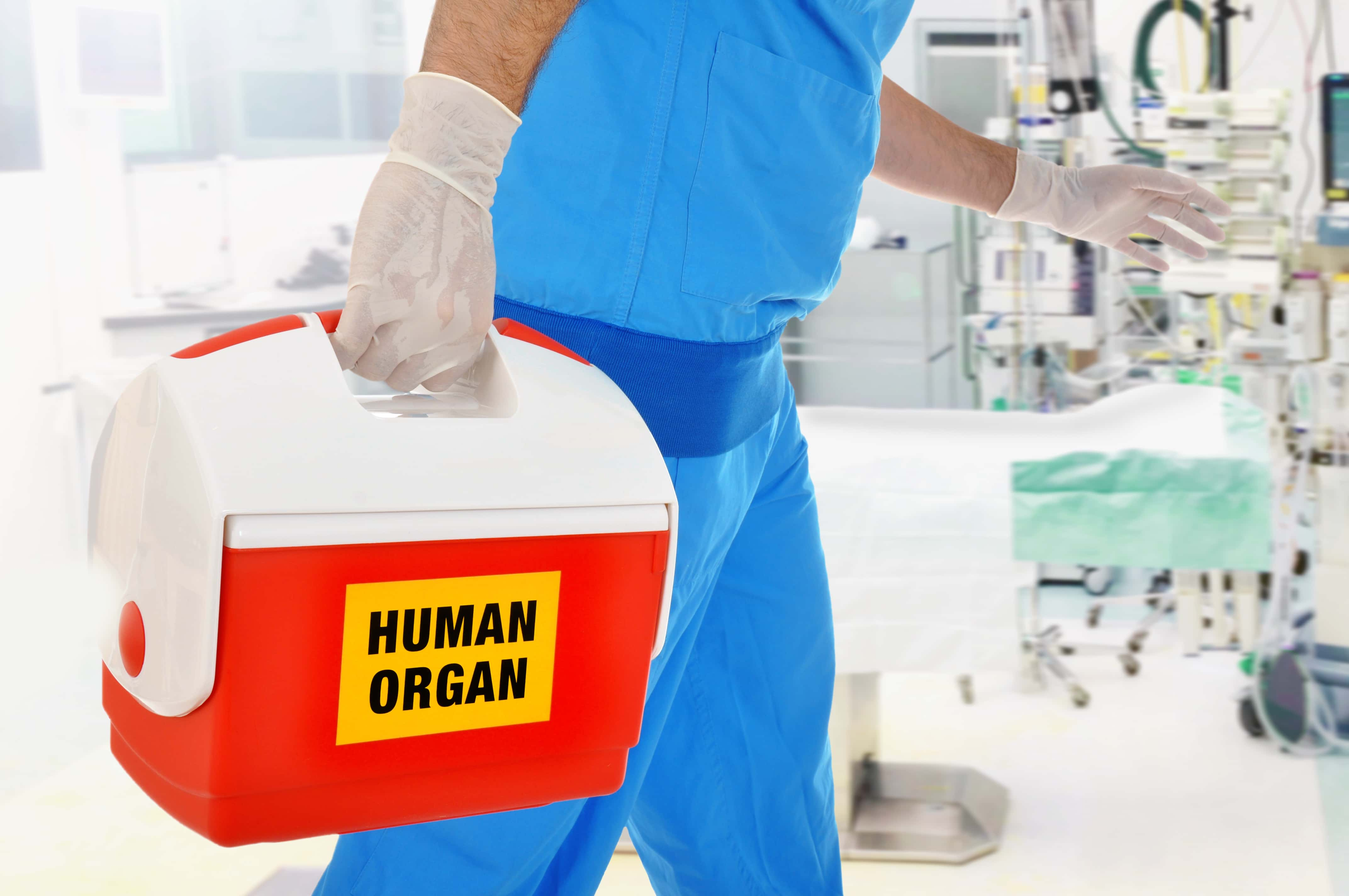 the-surprising-history-of-the-first-organ-transplants